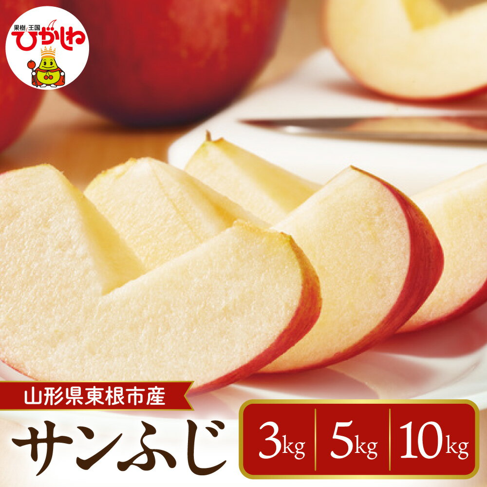【ふるさと納税】【 2026年産 】りんご サンふじ ( 選べる内容量 : 3kg / 5kg / 10kg )|さんふじ リンゴ 林檎 アップル フルーツ 果物 くだもの 秋 旬 先行予約 お取り寄せ 産地直送 ご当地 特産 グルメ 常温配送 送料無料 東北 山形県 東根市