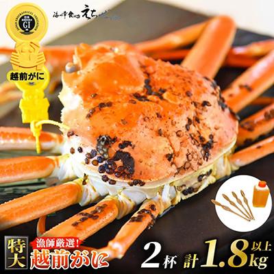ふるさと納税 越前町 ≪浜茹で≫ 越前がに 特大 2杯 かに酢 食べ方QRコード付き【3月より発送】