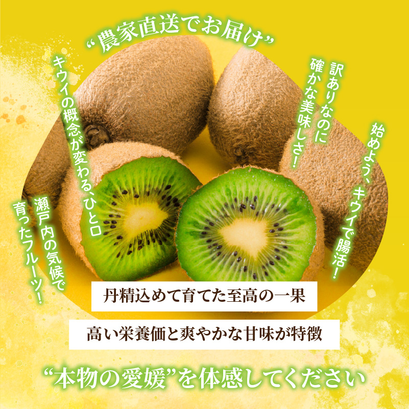 キウイフルーツ ヘイワード 2.5kg サイズ混合 家庭用 【先行予約 2026年10月下旬から発送】 | きうい 果物 キウイくだもの フルーツ おすすめ  人気 お取り寄せ グルメ ギフト 期間限
