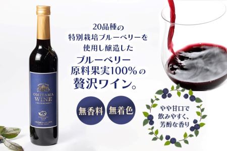 小美玉ブルーベリーワイン2本セット ブルーベリー ワイン ブルーベリーワイン フルーツ 果物 ビタミンE アントシアニン 栄養 目にいい 健康 美容 ギフト 贈り物 茨城県産 プレゼント セット お酒
