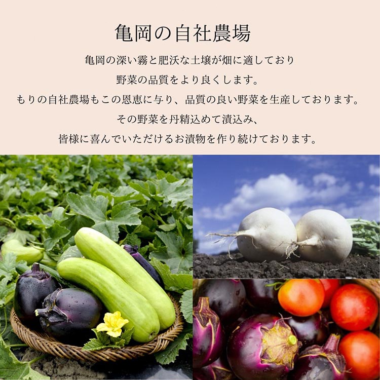 《京つけものもり》お試し 漬物 6種セット 《しば漬 すぐき たくあん など 京漬物 6品 京野菜 伝統 おためし 少量サイズ 試食 漬け物 乳酸菌 発酵食品》