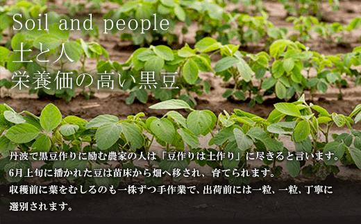 甘さひかえめ 黒豆しぼり甘納豆 90g×5袋  ふるさと納税 黒豆 甘納豆 まめ お菓子 おつまみ お取り寄せ 京都府 福知山市 京都 福知山 ふるさと 奥京都