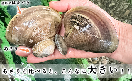 岬だよりの【個包装】大粒!天然はまぐり(特特大サイズ)170g前後×10個入り【配送不可地域：離島】【1392354】