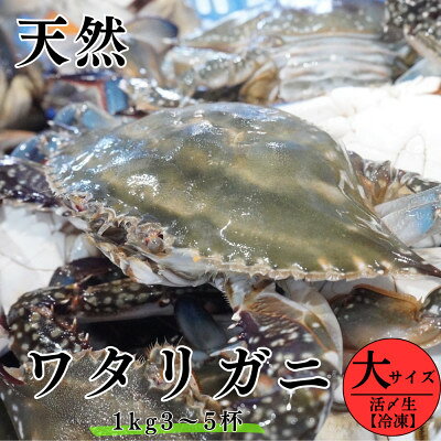 【ふるさと納税】 活〆 生 ワタリガニ (大) 1kg 3〜5杯 オスのみ 冷凍 特製 三杯酢付き セット 旬 期間限定 海鮮 魚貝 魚介 新鮮 渡り蟹 カニ 蟹 天然 まるは本館 人気 おすすめ 愛知県 南知多町 魚 海鮮 お魚 カニ お米に合う コメに合う おかず ご飯のお供