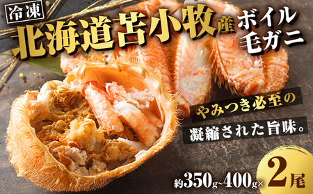 北海道苫小牧産 冷凍ボイル毛ガニ（350g～400g 2尾入） T020-008  蟹 カニ かに 海鮮 魚介 毛ガニ 毛がに 味噌汁 鍋 北海道産毛ガニ 北海道産蟹 冷凍 恵千フーズ ふるさと納税 