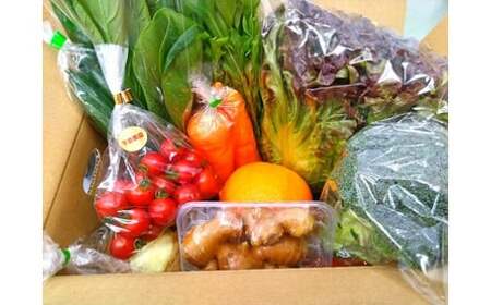 L-37 鮮度抜群！肥前の国のお野菜詰め合わせセット（8～10品目）　野菜 詰め合わせ 野菜セット 野菜詰め合わせ 旬野菜 採れたて 新鮮野菜 常備菜 国産 佐賀県産 太良町 こだわり 産地直送