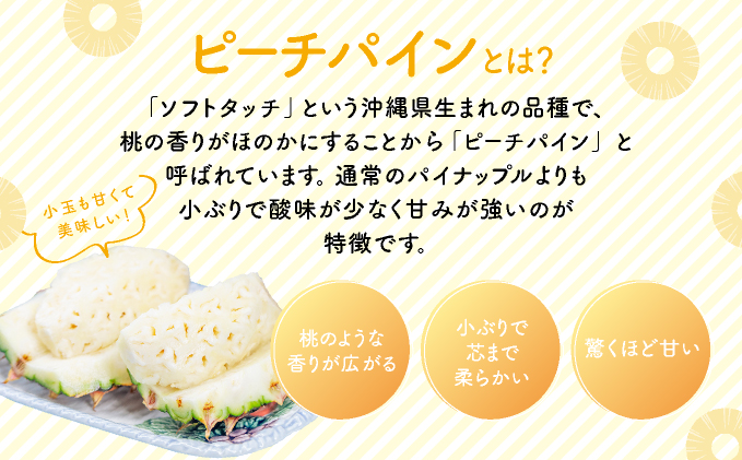 2026年 先行予約 小玉 ピーチパイン 約5kg 9～12玉 ★西表島ふる～つらんど★美味しさギュッと！ 果物 フルーツ パイン