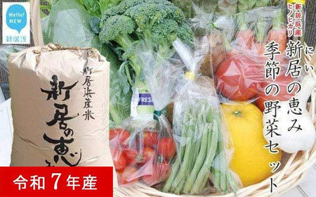 白米 精米 「新居の恵み (ヒノヒカリ) 令和7年産」 5kg と 季節の野菜 約2kg セット（クール便でお届け）