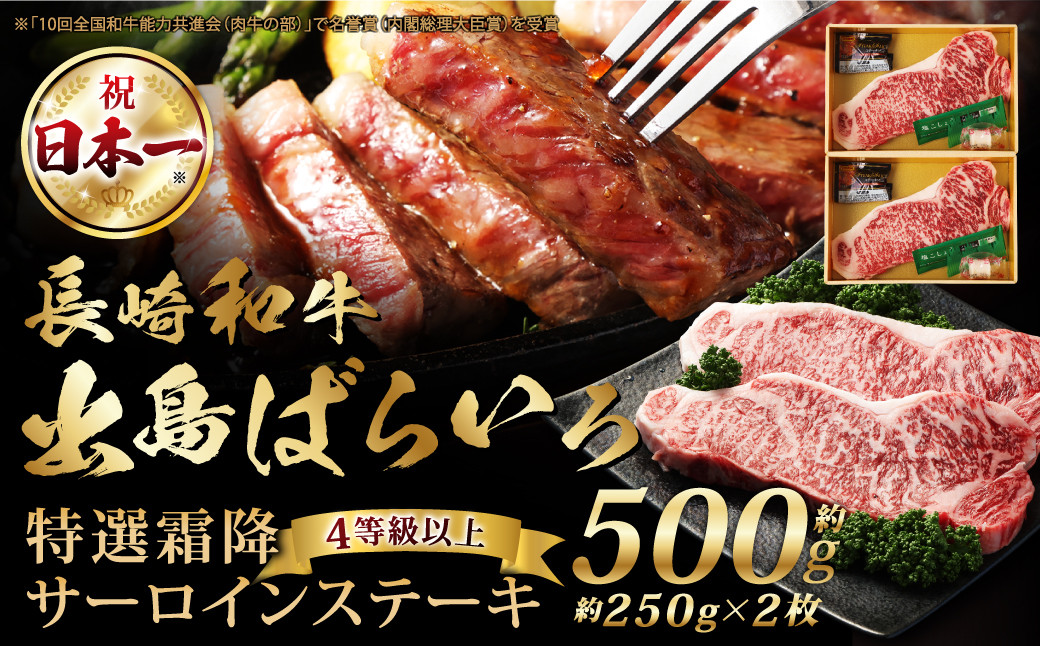 
長崎和牛「出島ばらいろ」特選霜降 サーロインステーキ たっぷり 500g (約250g×2枚) 国産 A4等級以上 和牛 牛肉 お肉 ステーキソース 塩コショウ付き 冷凍 長崎
