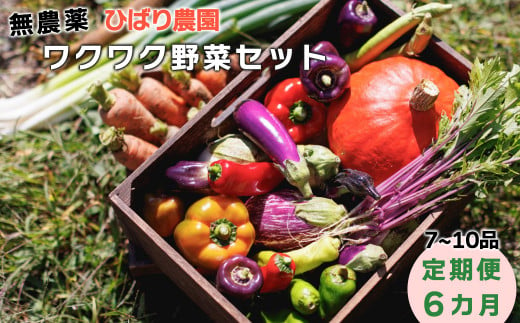 【定期便6回】ひばり農園の無農薬ワクワク野菜セット《 6月より発送開始》 【594】