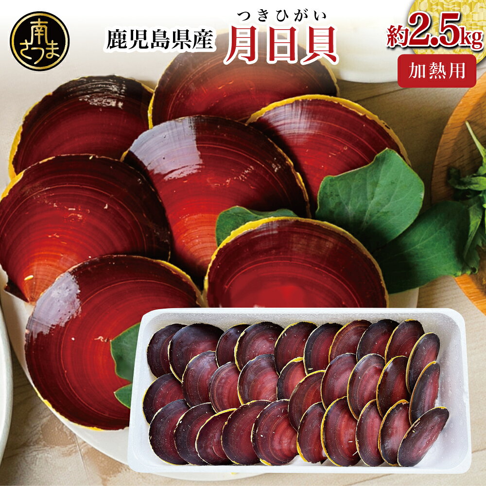 【ふるさと納税】希少 月日貝 約2.5kg （加熱調理用） 鹿児島特産 ツキヒガイ つきひがい 貝 鹿児島県産 海鮮 BBQ バーベキュー アヒージョ 酒蒸し バター焼き シチュー 冷凍 南さつま市 送料無料