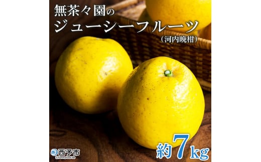 ＜無茶々園のジューシーフルーツ（河内晩柑）約7kg＞ 果物 フルーツ 選べる内容量 かわちばんかん みかん ミカン 蜜柑 柑橘 期間限定 季節限定 食べて応援 特産品 愛媛県 西予市 【常温】