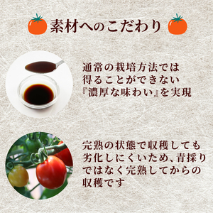トマト たっぷり ソース 300ml×3本 トマト とまと ソース 丹那高原 トマト 揚げ物 調理 サラダ 甘口 中濃 調味料 戸田塩 まろやか 産地直送 静岡県 沼津市 （ ｿｰｽ ｿｰｽ ｿｰｽ 
