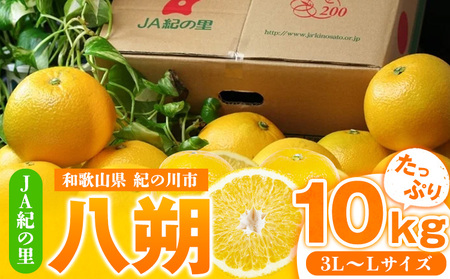 八朔 約10kg(3L-Lサイズ)