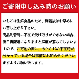 No.1162 ＜先行予約受付中！2025年1月中旬より順次発送予定！＞紅白いちごの食べ比べセット(計600g・300g×2トレー) 国産 九州産 鹿児島 日置市 生鮮食品 苺 イチゴ 白苺 赤苺 果