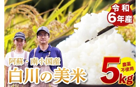 令和７年産・新米 白川の美米 ５kg 令和7年産 南小国産 玄米 白米 3分づき 5分づき 7分づき 森のくまさん 精米 米 お米 ご飯 ごはん 無農薬 農薬不使用 自然栽培 産地直送 白川自然農園 熊本 南小国 送料無料