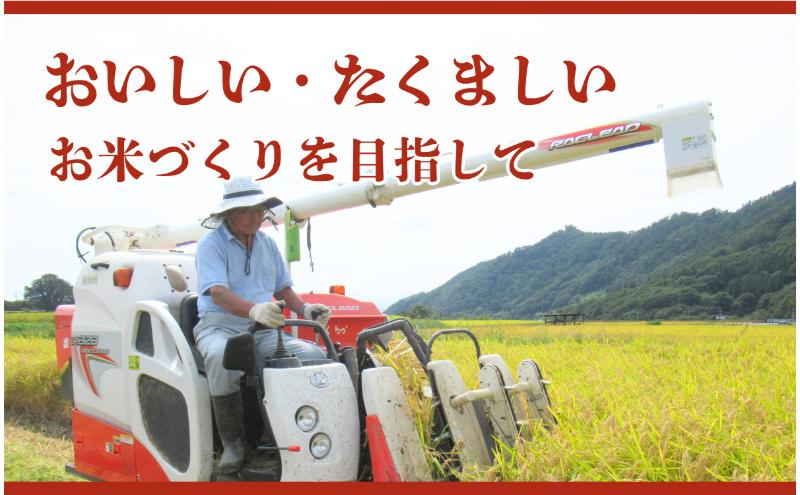 米 令和7年産 定期便 3ヵ月 コシヒカリ 関口さんちのお米 3kg お米 白米 ブランド米 定期 3回
