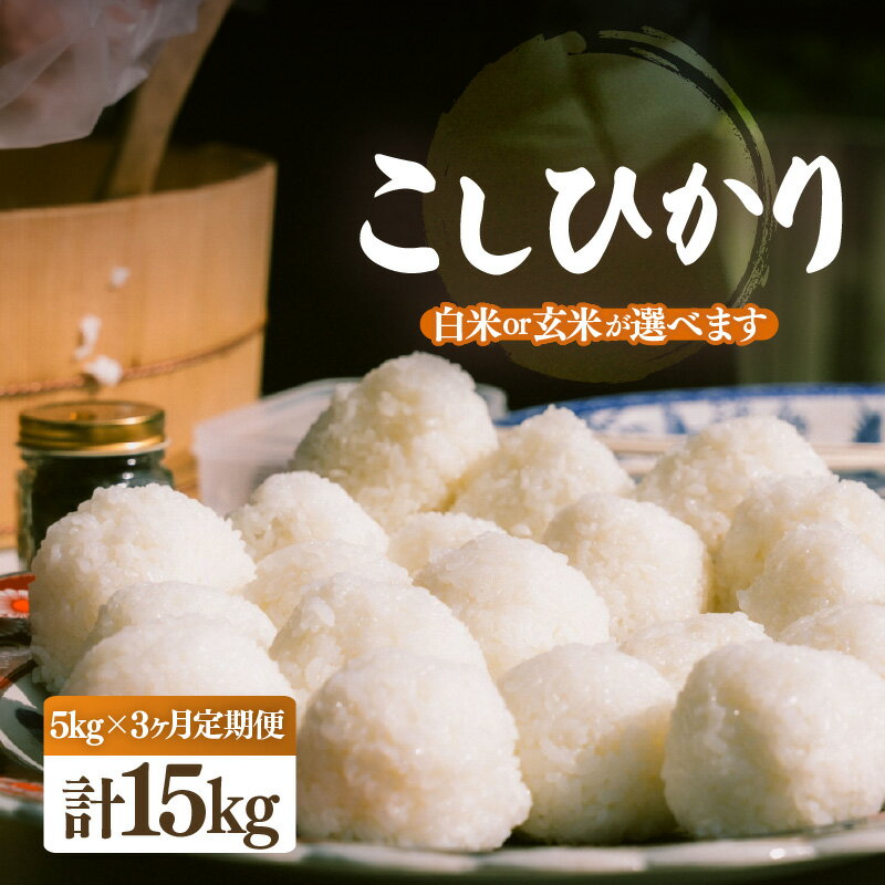 【ふるさと納税】【先行予約】【令和8年産・新米】定期便 ≪3ヶ月連続お届け≫ こしひかり 5kg × 3回（合計15kg）【選べる精米方法：白米/玄米】【2026年10月中旬以降順次発送】【こめ コシヒカリ 人気品種 ブランド米 5キロ 白米 精米 玄米 おにぎり 福井県】