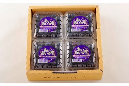 【収穫日に即日出荷】生ブルーベリー ｢あいあいの雫｣ 800g (200g×4パック) 小分けで嬉しい 【堀内フルーツファーム】ブルーベリー 収穫後即日配送ブルーベリー 農家直送ブルーベリー 産地直送