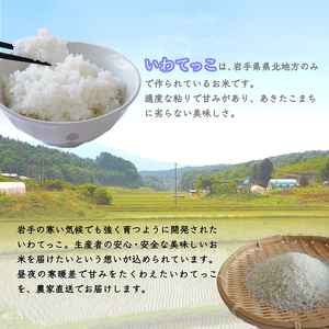 【先行受付】令和7年産岩手町産いわてっこ精米 5kg 米 ごはん 新鮮 銘柄 農家直送
