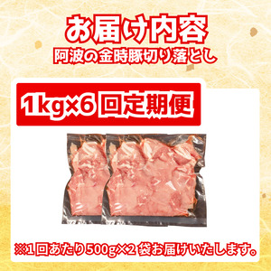 阿波の金時豚 切り落とし 定期便 6回 1kg 豚肉