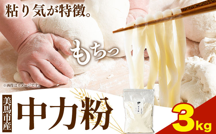 
                  中力粉 3kg 美馬市産 《30日以内に発送予定(土日祝除く)》 実森ラボラトリー株式会社 自家製小麦のお店mimori　送料無料 徳島県 美馬市 お菓子 パン 小麦 麺
                