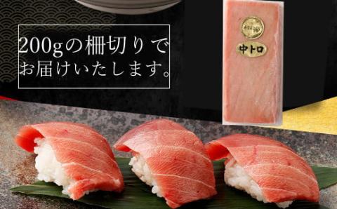 【３回定期便】天然南マグロ　中トロ　２柵　解凍書付 海鮮 魚介 鮪 惣菜 冷凍 ミナミマグロ