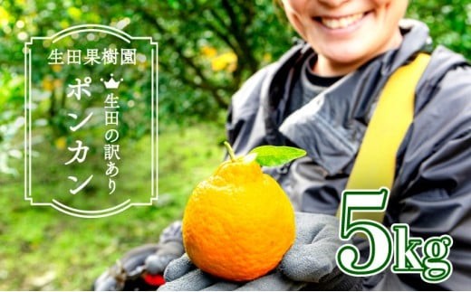 ＜先行予約＞生田の訳ありポンカン【5kg】 国産 東洋町産 訳アリ 甘い コク ジューシー 果肉 高知県 東洋町 四国 お取り寄せ フルーツ 果物 家庭用 自宅用 送料無料