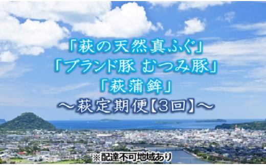 
[№5226-0464]萩の天然真ふぐ・むつみ豚・萩蒲鉾【萩定期便3回】　
