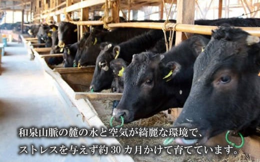  なにわ 黒牛 内ハラミ ・ 焼肉用 400g (100g × 4パック) 