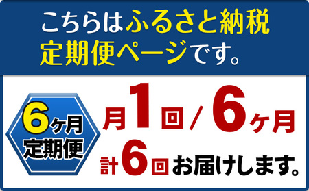 【6ヶ月定期便】ナノバブル水素水 ペットボトル(約500ml)×30本 