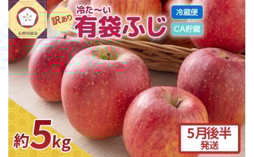 【2026年5月後半発送 】りんご ふじ 訳あり 約 5kg 【 有袋栽培 CA貯蔵 クール便 果物類 林檎 リンゴ ふじりんご 家庭用 フルーツ 青森 五所川原 】