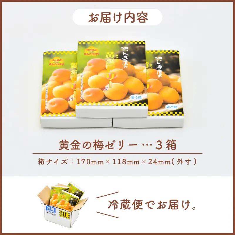 【期間限定】夏の水羊羹！「黄金ゼリー」 250g × 3箱（計750g）  白餡と「黄金梅」ピューレ [e07-a015]