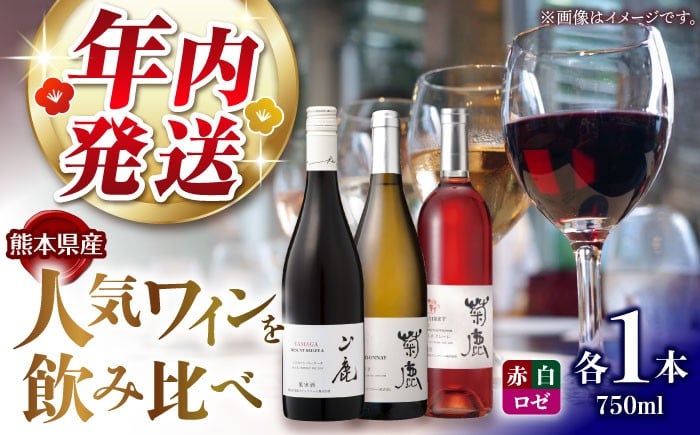 
            【年内発送は12月21日ご入金分まで！】ワイン3本セット 菊鹿シャルドネ&菊鹿カベルネクレーレ2023&山鹿マスカットベーリーA2024 化粧箱付 わいん【菊鹿ワイナリー】 [ZFB007]
          