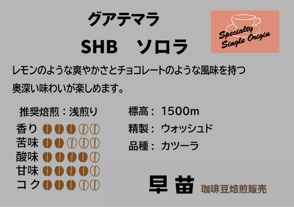 【早苗】焙煎珈琲豆（さわやかな酸味を楽しむセット　3種×各100g）豆