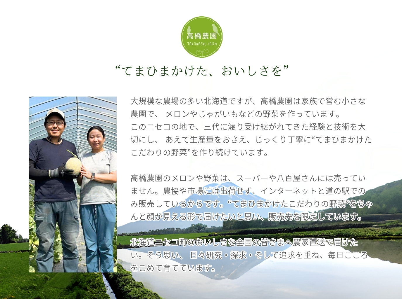 《2024年分受付中》糖度13度以上!市場には出回らない北海道ニセコメロン1玉（1.6kg以上）/高橋農園【37001】