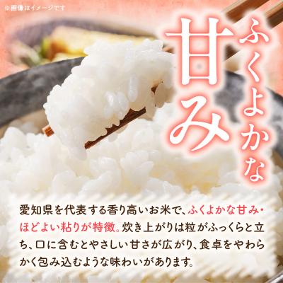 ふるさと納税 小牧市 【小牧市農業祭 特別賞】R7年産「あいちのかおり」(5kg)<農家直送>[208K13] |  | 01