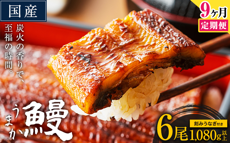 【9ヶ月定期便】国産 うまか鰻 特上サイズ 6尾 計1080g《お申込み翌月から発送(土日祝除く)》 九州産  ウナギ 鰻 蒲焼 うなぎの蒲焼 惣菜 ひつまぶし 特大サイズ 訳あり 定期便 蒲焼き_イ