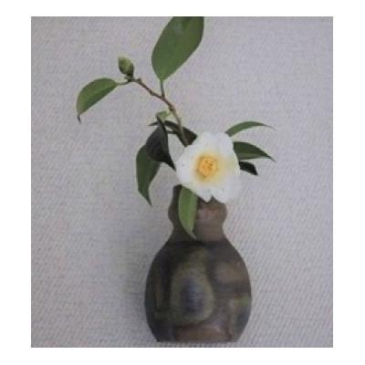 ふるさと納税 備前市 備前焼ひさご型掛花入れ(登り窯) |  | 02