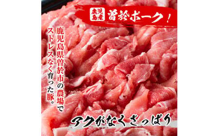 ＜2025年5月中に発送予定＞鹿児島県曽於市産 曽於ポーク切り落とし3.25kg(250g×13パック)セット 国産 豚肉 切り落とし【Rana】A408-05-v01