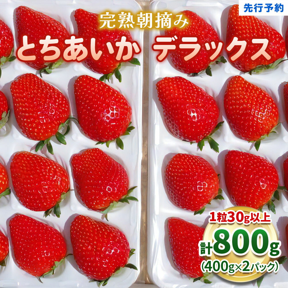 【ふるさと納税】【2026年1月先行予約】澳原いちご農園の完熟朝摘みとちあいか デラックス 400g×2 計800g《1月中旬より順次出荷》｜いちご 苺 フルーツ 果物 栃木県 矢板市
