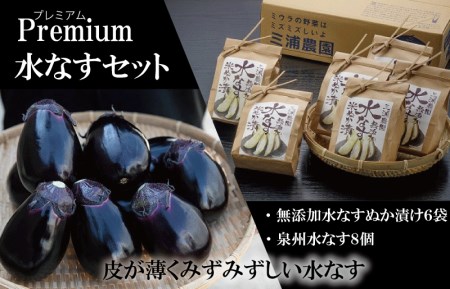 【Premium】水なすセット【新鮮 野菜 泉佐野産 茄子 やさい 高評価 数量限定】
