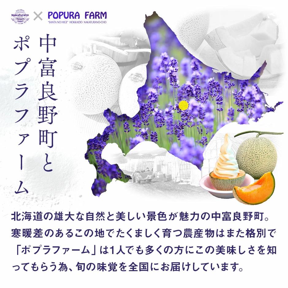 【2026年発送】【ポプラファーム】富良野メロン 特大1玉（2.6kg以上 秀品）