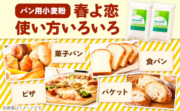北海道十勝前田農産パン用小麦粉「春よ恋」1kg×10袋 計10袋 有限会社 十勝太陽ファーム 送料無料 北海道 本別町《60日以内に出荷予定(土日祝除く)》北海道 本別町 パン 小麦粉 小麦 10kg