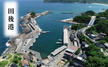 【24018】田後漁港特産　ベラガレイ干物５枚セット