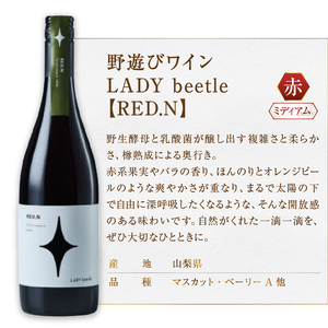 フジクレール 野遊びワイン LADY beetle【RED.N】【ROSE SP Sparkling】2本セット（MG）C4-655【ワイン フジクレール 赤ワイン ロゼワイン スパークリングワイン 