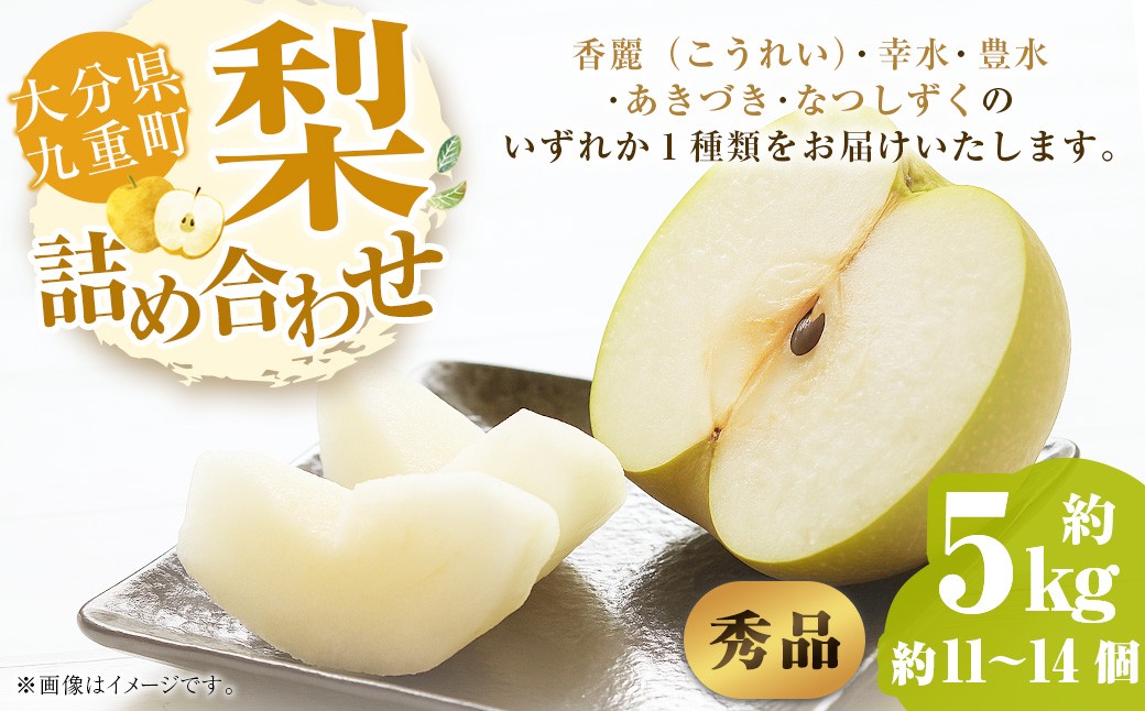 
            【秀品】 九重町産 梨 詰め合わせ 約5kg （約11個～14個） なし ナシ 香麗 こうれい 幸水 こうすい 豊水 ほうすい あきづき なつしずく 果物 くだもの フルーツ 【2025年8月上旬～9月下旬発送予定】
          