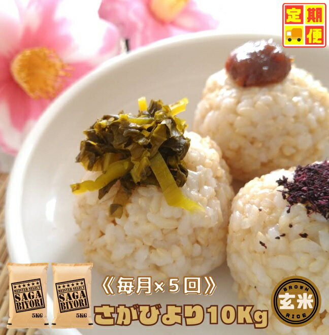 【ふるさと納税】【玄米】さがびより10kg（5kg×2袋）【5回定期便】（CIC69）