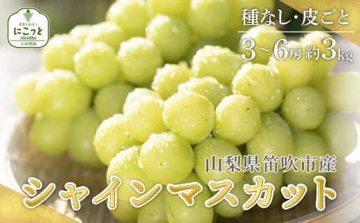 ＜25年発送先行予約＞シャインマスカット 3〜6房 約3.0kg ※沖縄県・離島は発送不可 097-014 | シャインマスカット 発送 3kg にこっと 笛吹市 山梨県 フルーツ 果物 ぶどう 葡萄 種無し 皮ごと おすすめ シャインマスカット 発送 贈答 ギフト 甘い 産地 期間限定 笛吹市 シャインマスカット 笛吹 葡萄 ぶどう 人気 国産 097-014