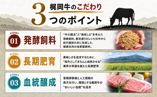 ( 梶岡牛 ) ホルモン  ・ ミックス  500g 真空パック ｜  国産梶岡牛 希少 ホルモン ぷりぷり 食感 濃厚 旨み 焼肉 もつ鍋 もつ モツ 冷凍 特産品 山口 美祢 美祢市